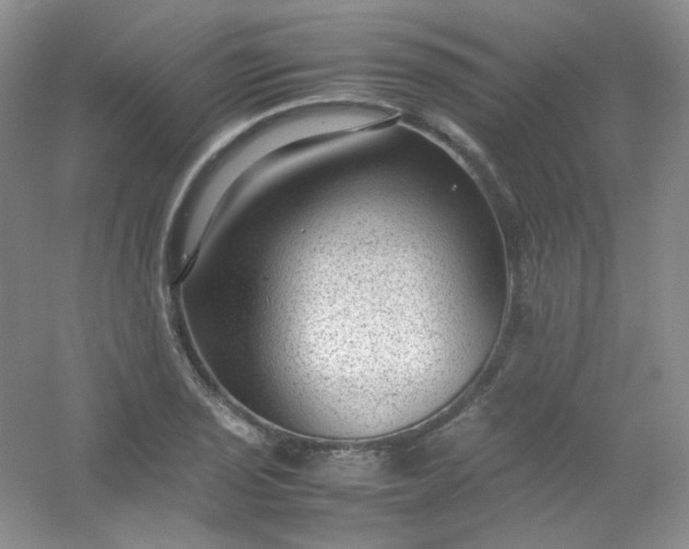 X0000054471029200508121958