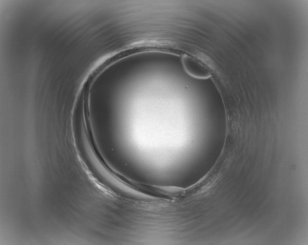 X0000054471030200508121958