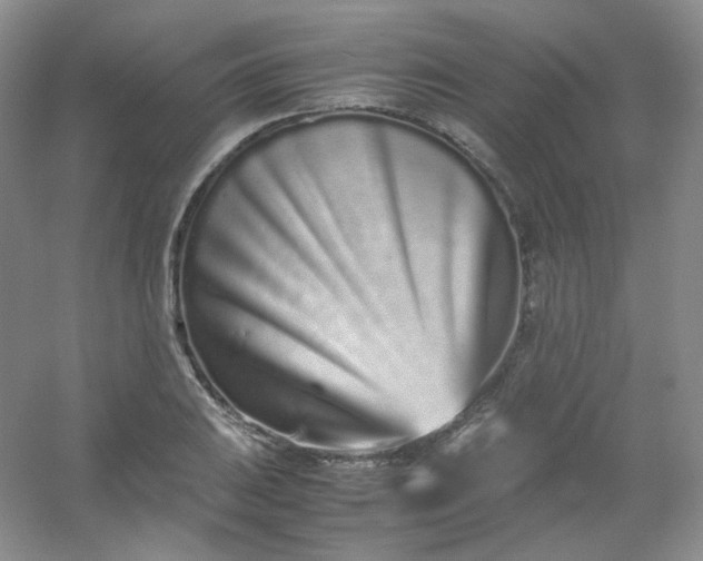 X0000054471031200508121958