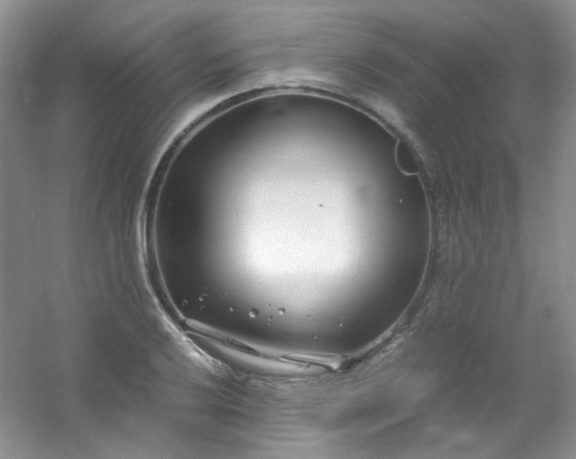 X0000054471032200508121958