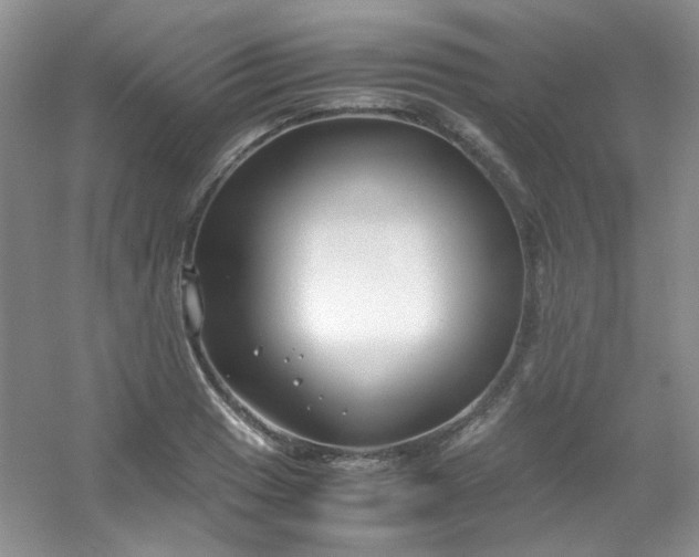 X0000054471033200508121958