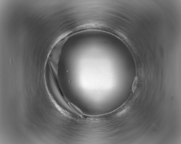 X0000054471034200508121958