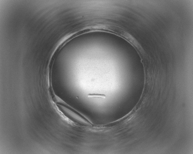 X0000054471036200508121958