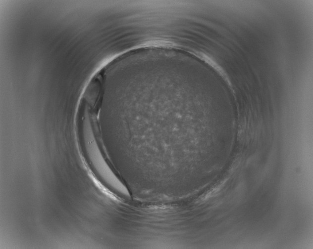 X0000054471037200508121958