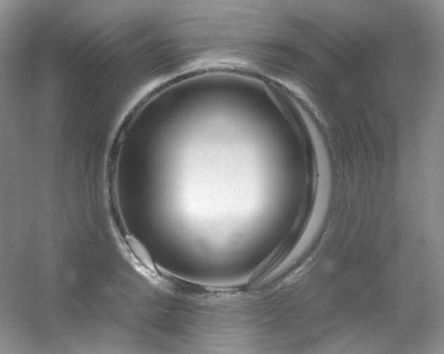 X0000054471038200508121958