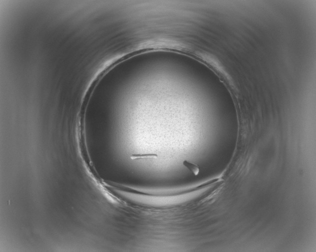 X0000054471040200508121958