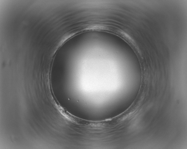 X0000054471041200508121958