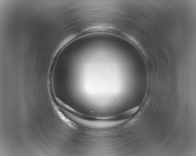 X0000054471042200508121958