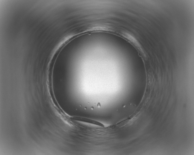 X0000054471043200508121958