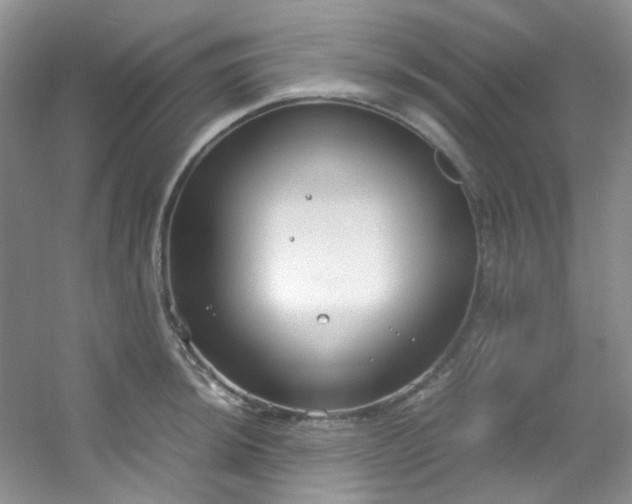 X0000054471044200508121958