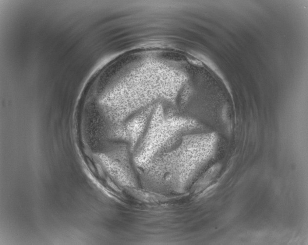 X0000054471045200508121958