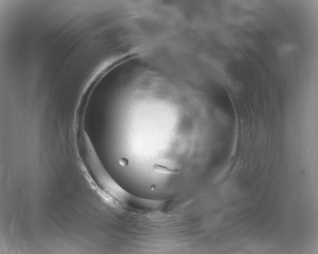 X0000054471046200508121958