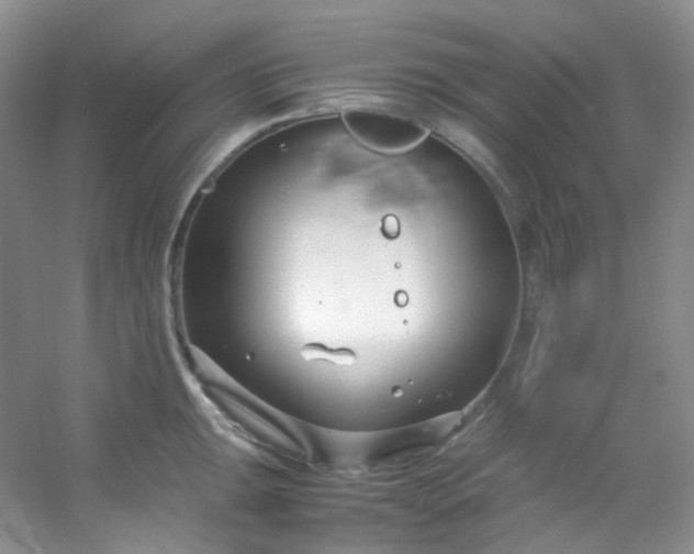 X0000054471047200508121958