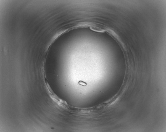 X0000054471049200508121958