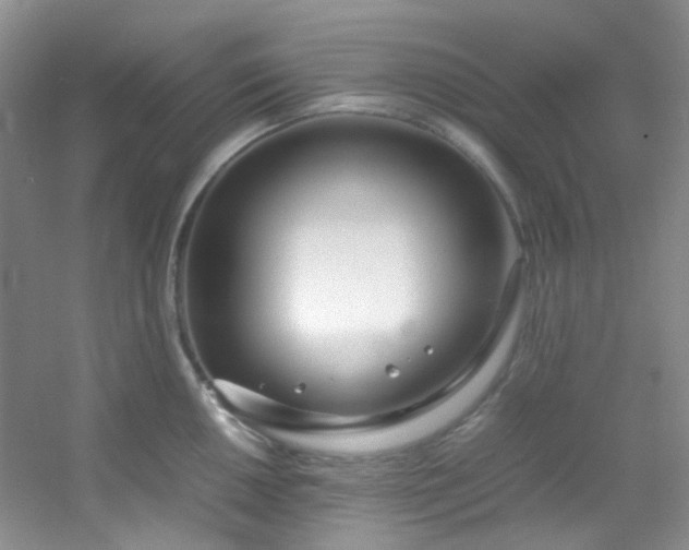 X0000054471050200508121958