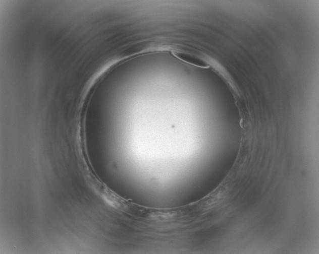 X0000054471051200508121958