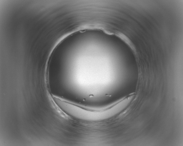 X0000054471052200508121958