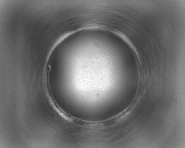 X0000054471053200508121958