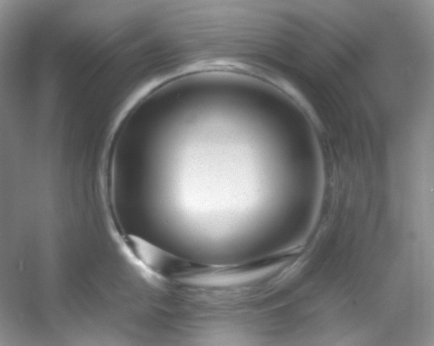 X0000054471054200508121958