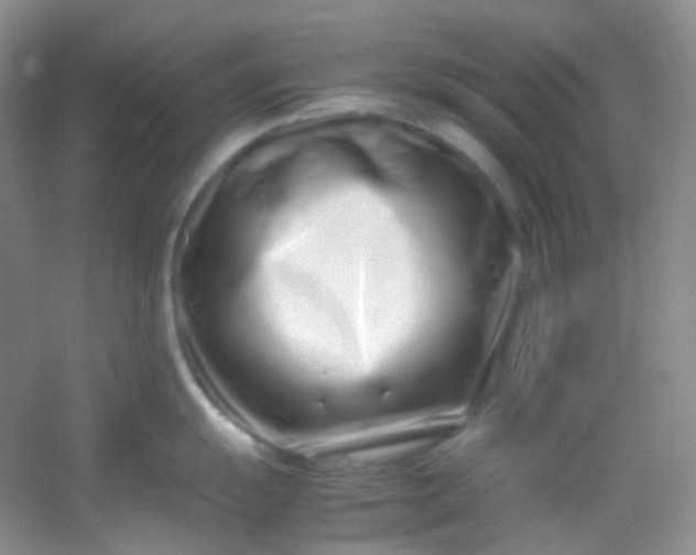 X0000054471055200508121958