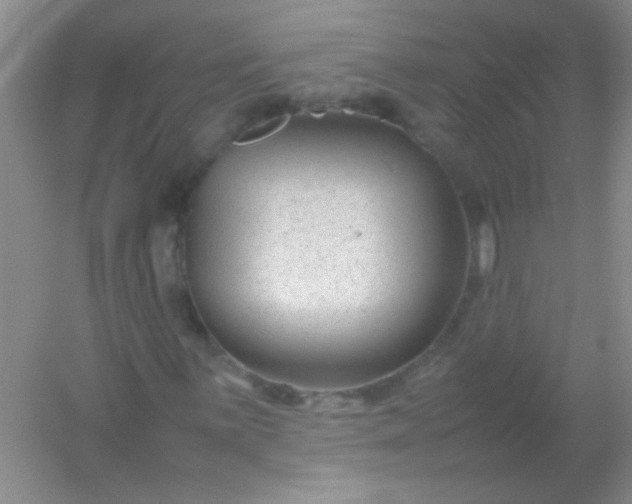 X0000054471059200508121957