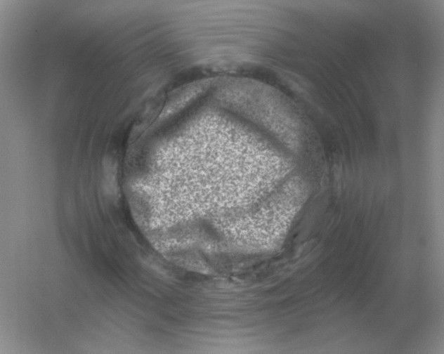 X0000054471060200508121957