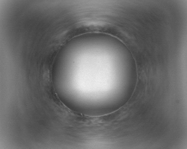 X0000054471061200508121957