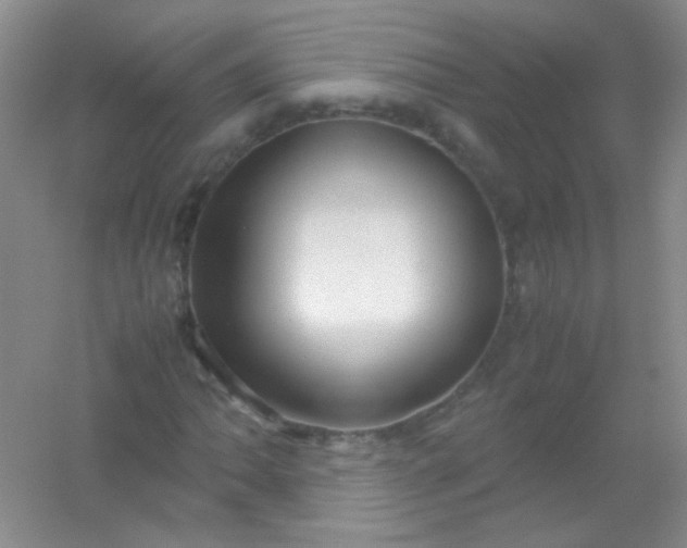 X0000054471062200508121957