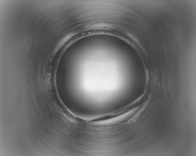 X0000054471066200508121957