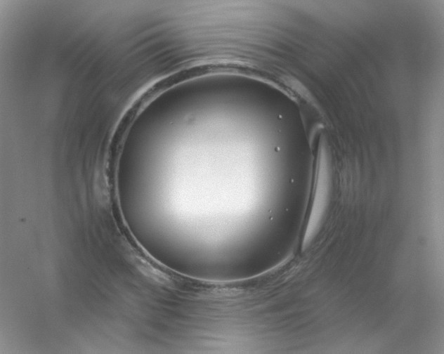 X0000054471068200508121957