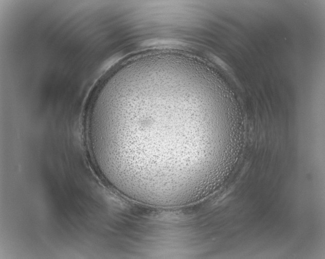 X0000054471074200508121957