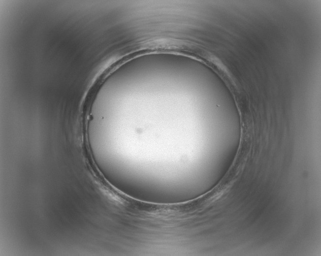 X0000054471075200508121957