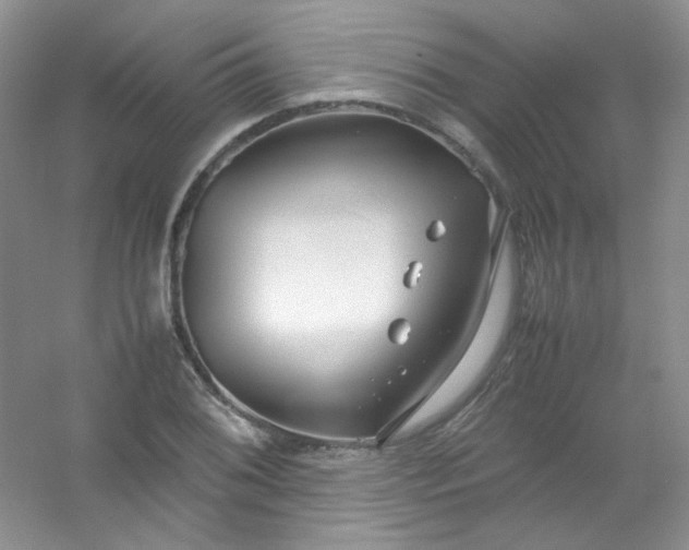 X0000054471076200508121957