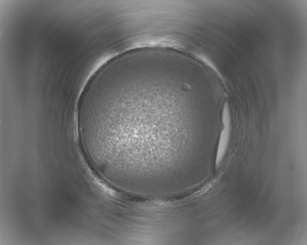 X0000054471079200508121957