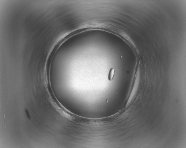 X0000054471080200508121957