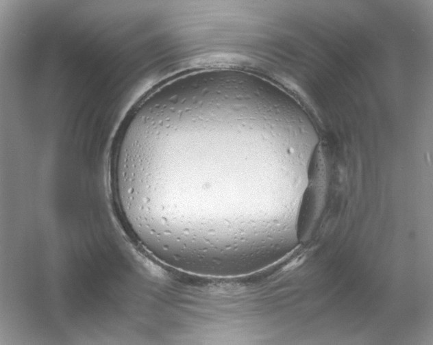 X0000054471083200508121957