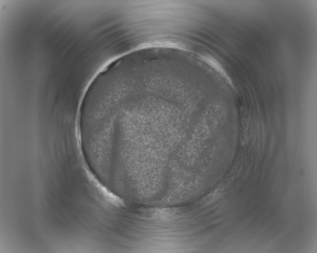 X0000054471084200508121957