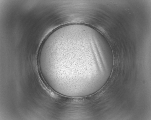 X0000054471086200508121957