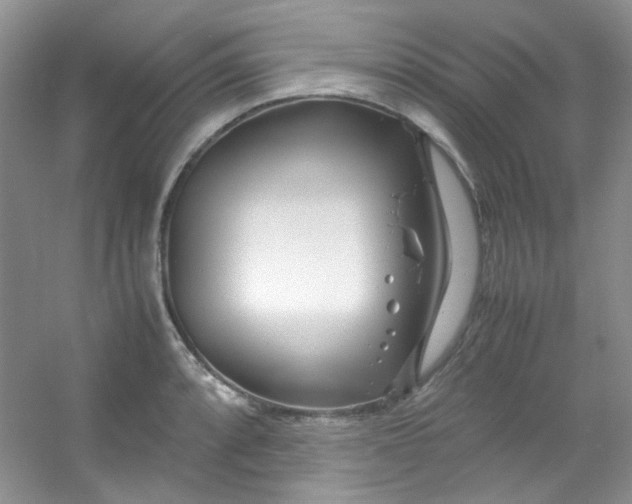 X0000054471088200508121957