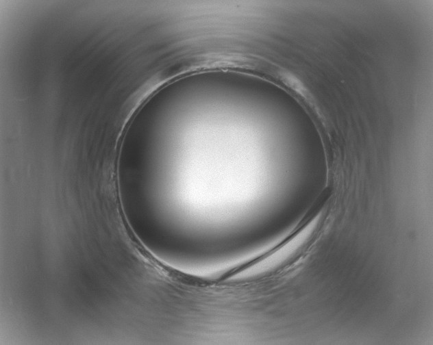 X0000054471089200508121957