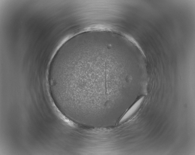 X0000054471091200508121957