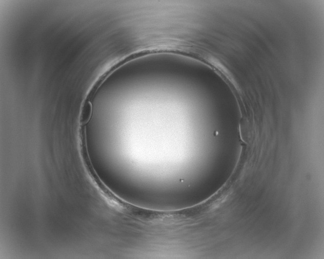 X0000054471093200508121957