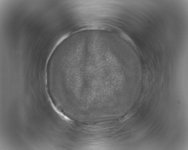 X0000054471095200508121957