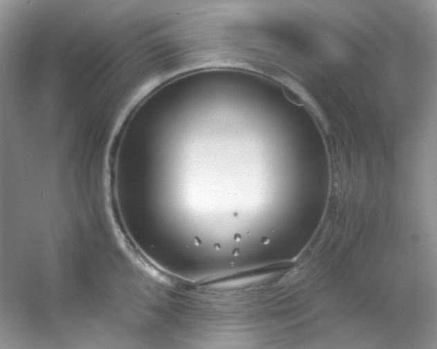 X0000054471096200508121957