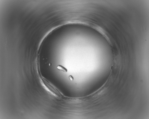 X0000054471100200508121957