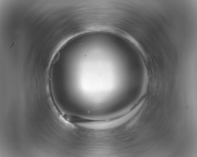 X0000054471102200508121957