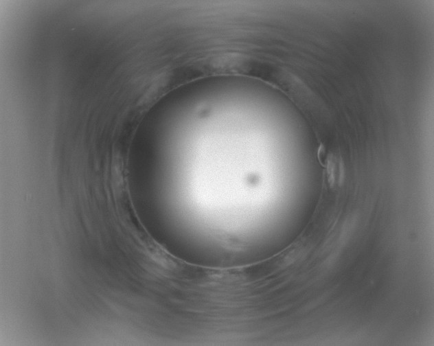 X0000054471107200508121956