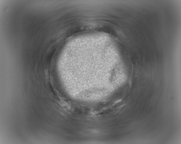 X0000054471109200508121956