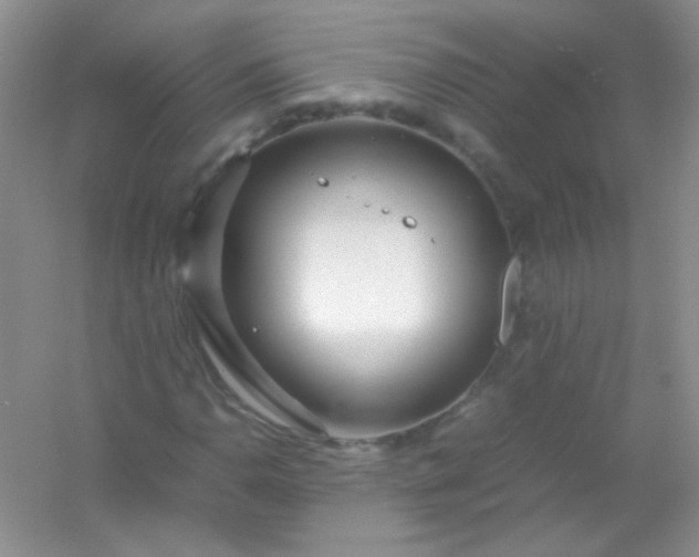 X0000054471110200508121956