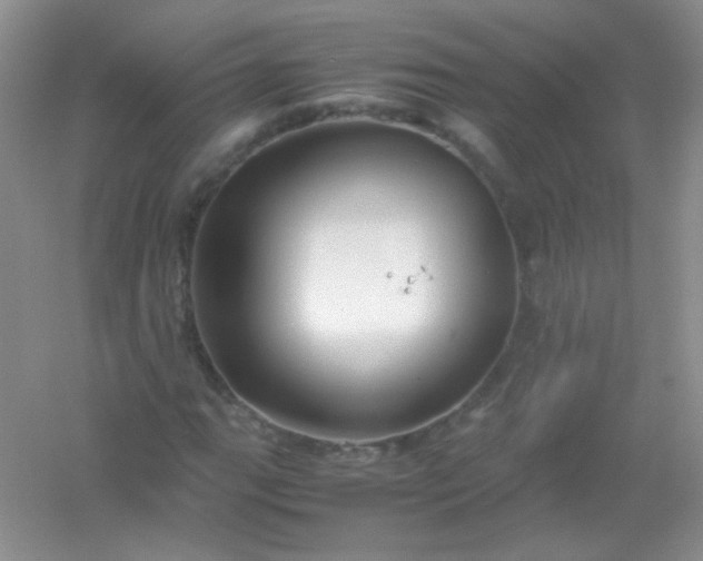 X0000054471111200508121956